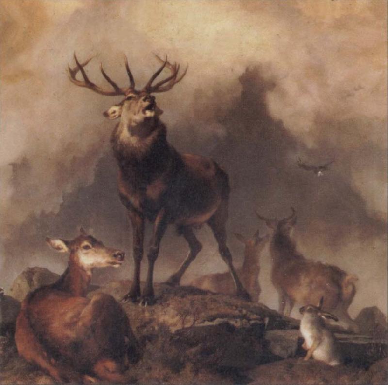 Sir Edwin Landseer A Majestic Gathering